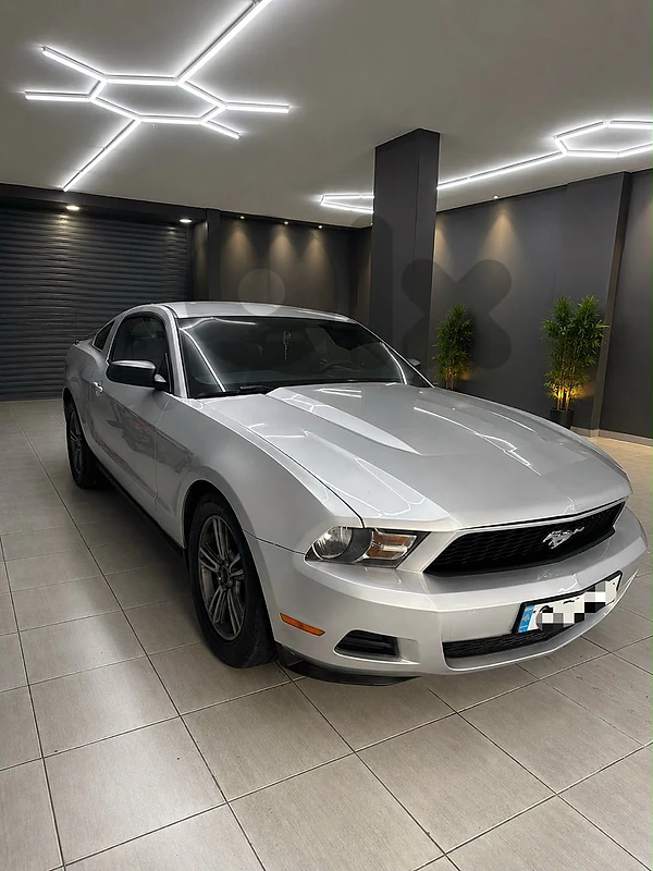 mustang
