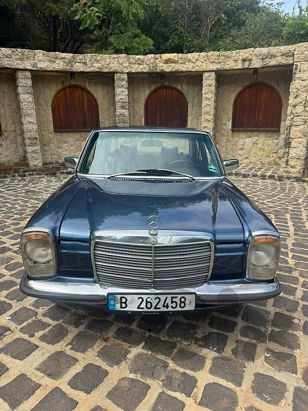 Mercedes-benz 230  4 1974