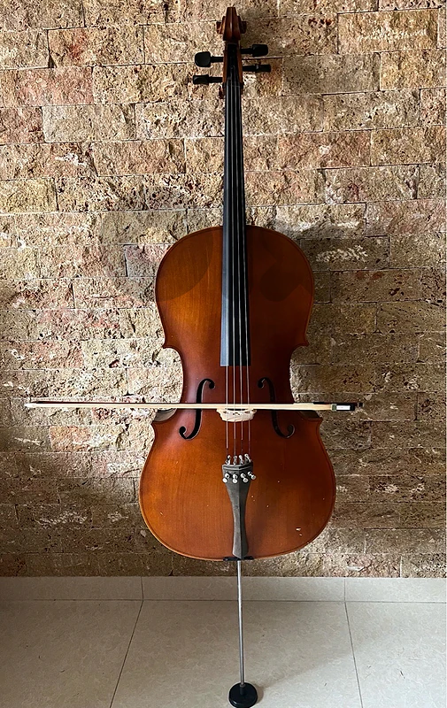 Complete 4/4 Full-Size Cello Outfit (Sonor) + Luxury Case & UK Stand