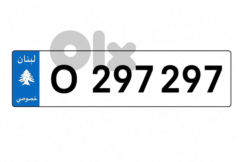Special 6 Digits Car Plate for sale