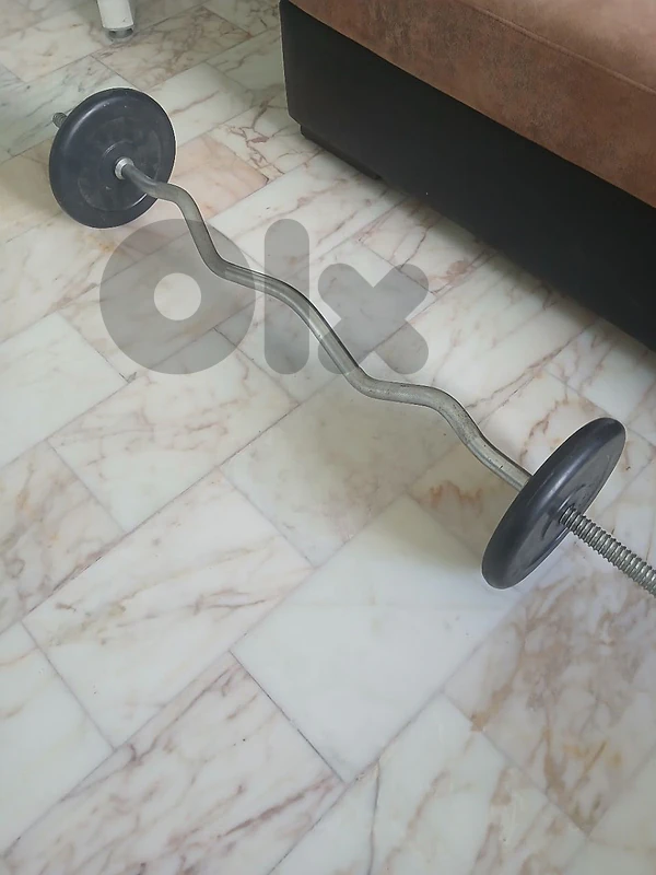 20 kg zigzag barbell