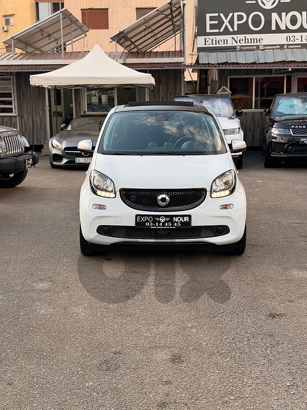 Smart forfour 2018 FUll Electric