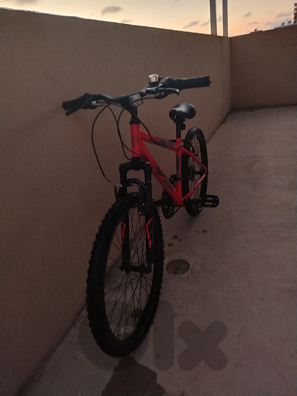 Bicycle 24"
