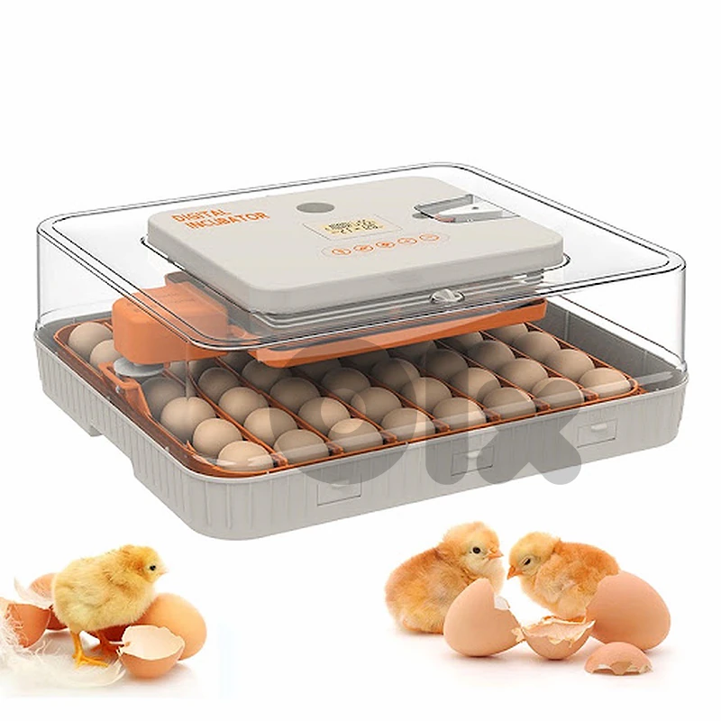 56-Egg Automatic Incubator