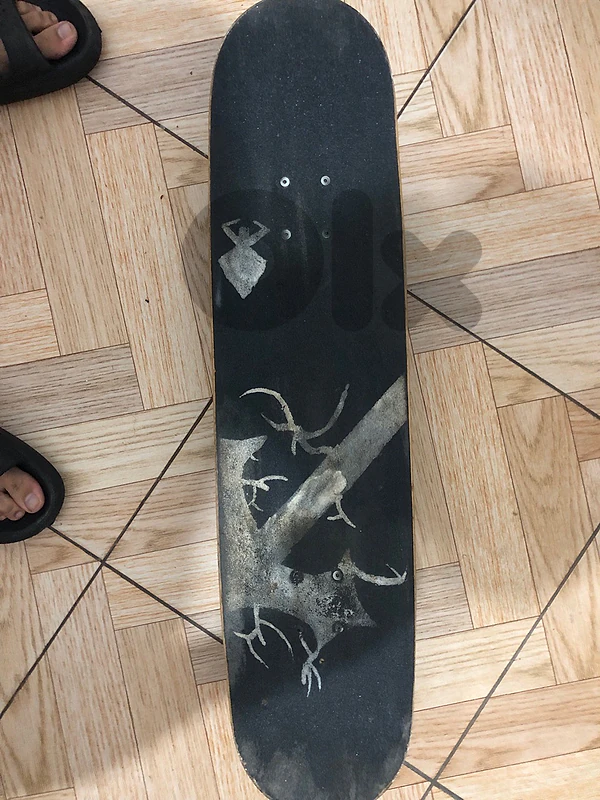 Skateboarding