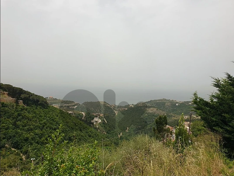 58000m2 Land for sale in Asia,Batroun