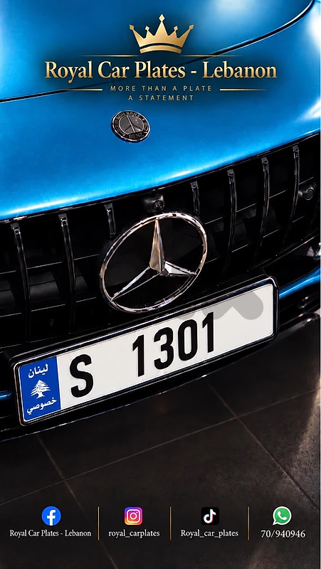 S  1301    Special car plate number for sale