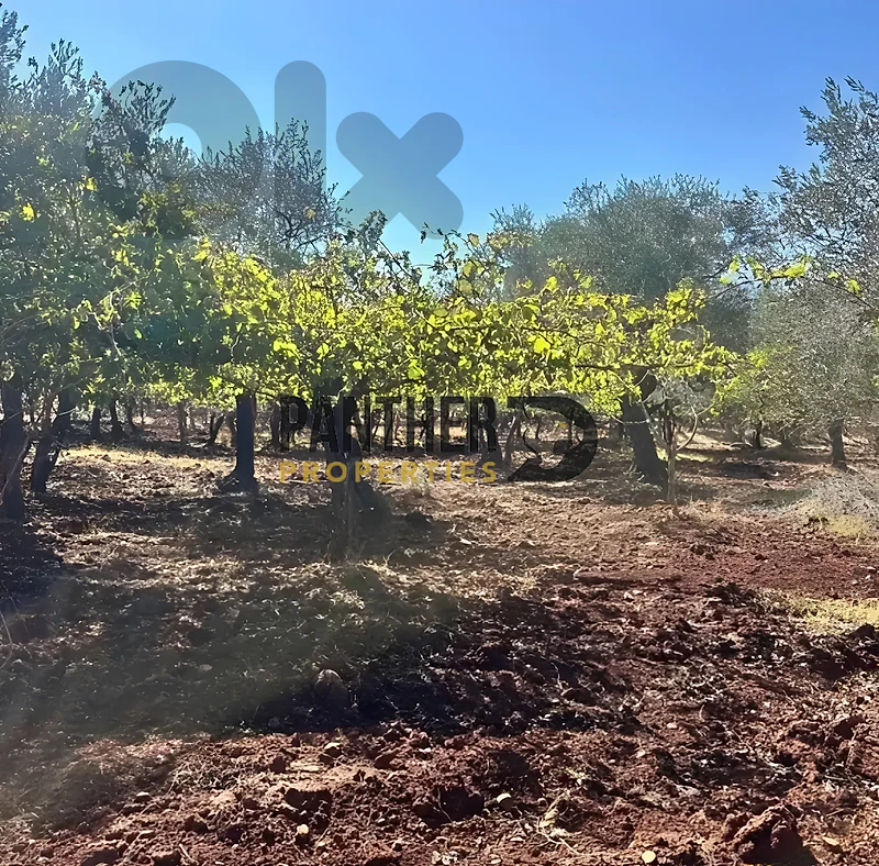 Land for sale flat mountain view in Zgharta Ref#FR101