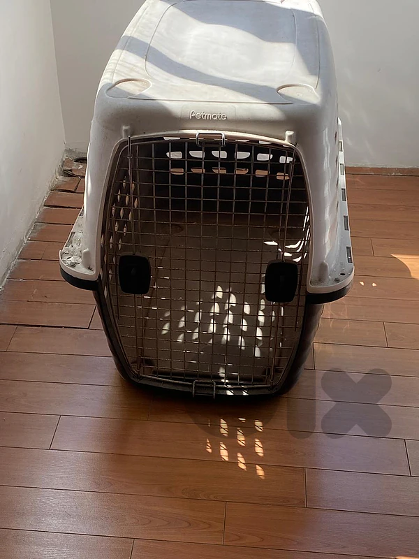 Large Petmate Dog Travel Crate/Transport Kennel - قفص سفر ونقل للكلاب