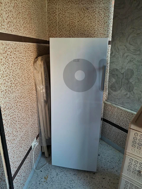 Inverter freezer