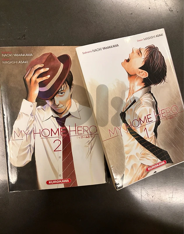 my home hero manga