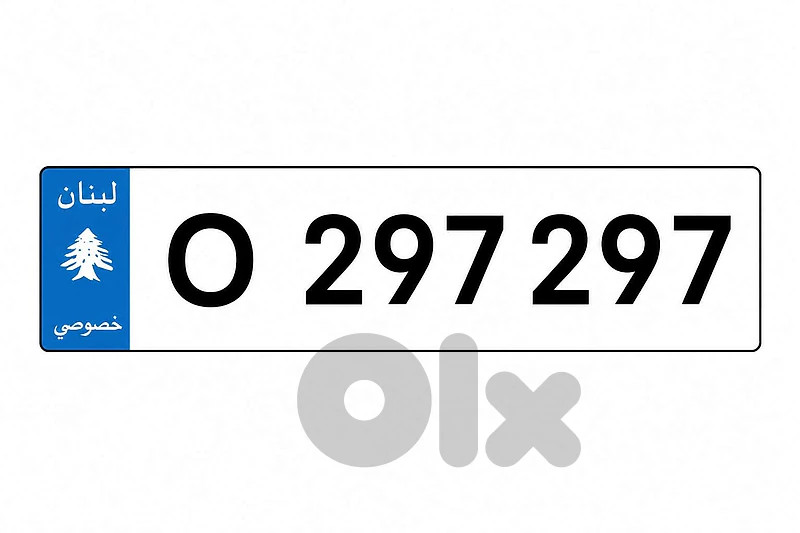 Special 6 Digits Car Plate for sale