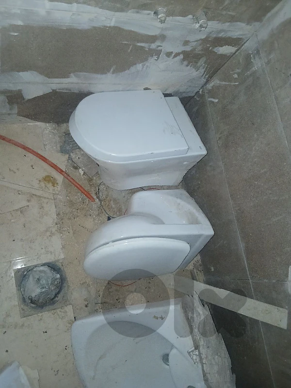 toilet seat