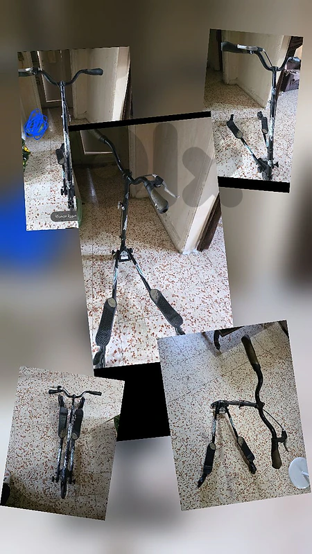 صيدا الغازيه