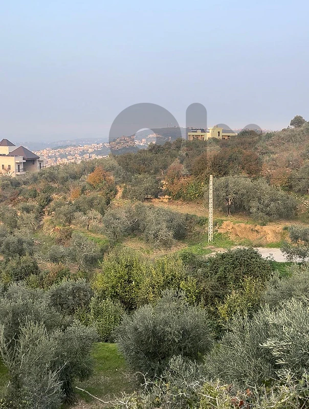 Land for Sale in Al Zwerib, Akkar أرض للبيع في الزواريب، عكار