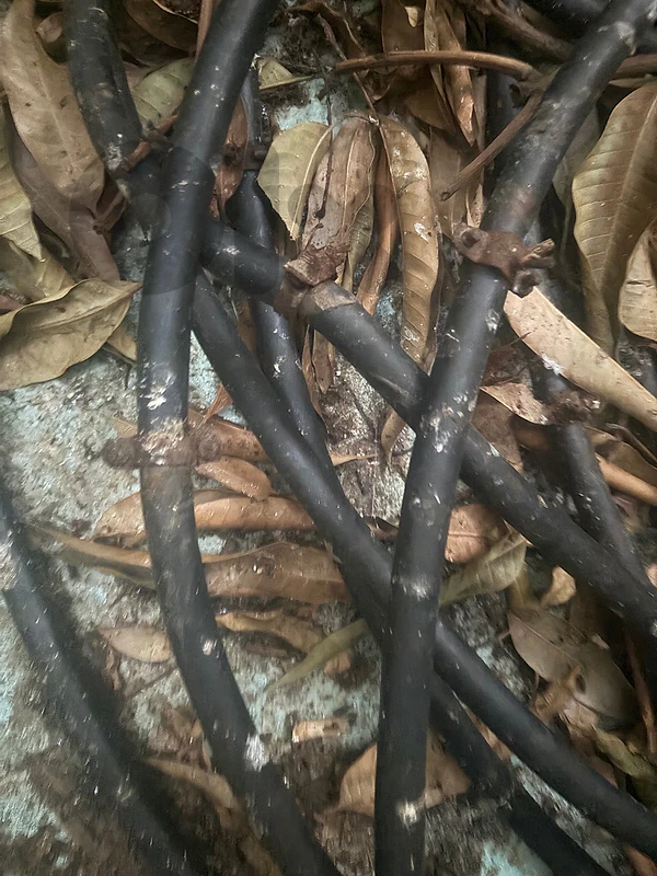 كابل كهرباء  ٥٠ متر  ١٦م نحاس ٤ خطوط و خط نص م  مغلف اوروبي