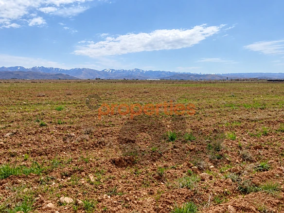 Land for sale in kherbet Rouha ارض للبيع في خربة روحا CPKNS21