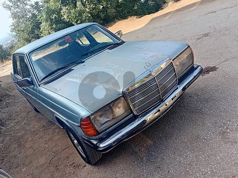 Mercedes 1977 Mercedes 1977