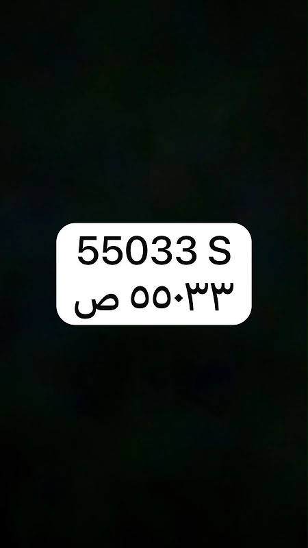 55033 S
