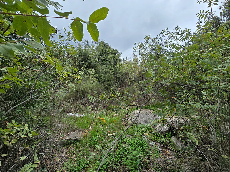 Land for Sale – Hbous, Cornet Chehwan أرض للبيع – حبوس، قرنة شهوان