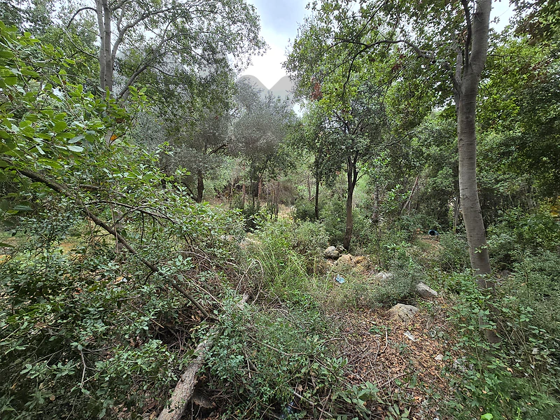 Land for Sale – Hbous, Cornet Chehwanأرض للبيع – حبوس، قرنة شهوان