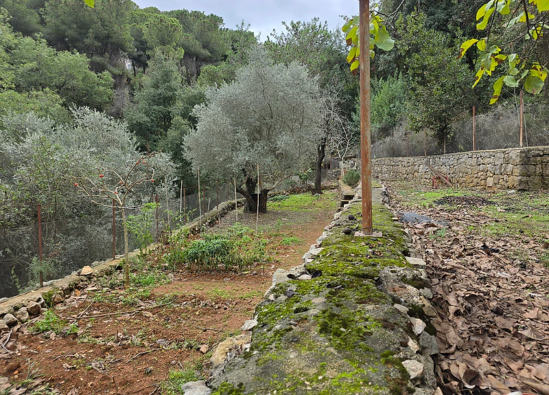 CATCHY DEAL – Land For Sale in Beit El Kiko, Cornet Chehwan