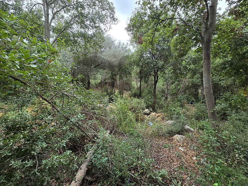 Land for Sale – Dik El Mehdi  أرض للبيع – ديك المحدي