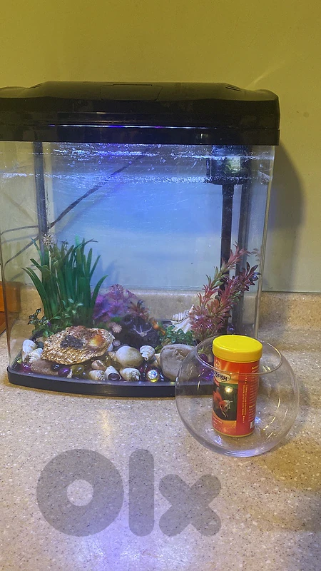 Complete Glass Aquarium Setup with Accessories & Decor