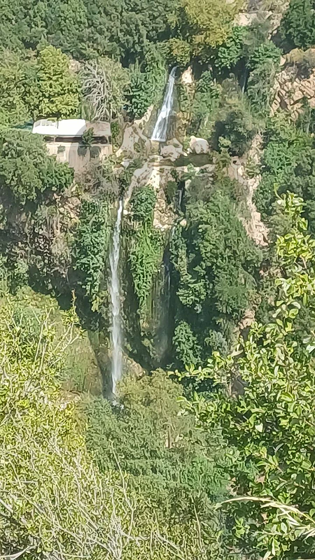 land for sale in kfarhelda أرض للبيع في كفرحلدا