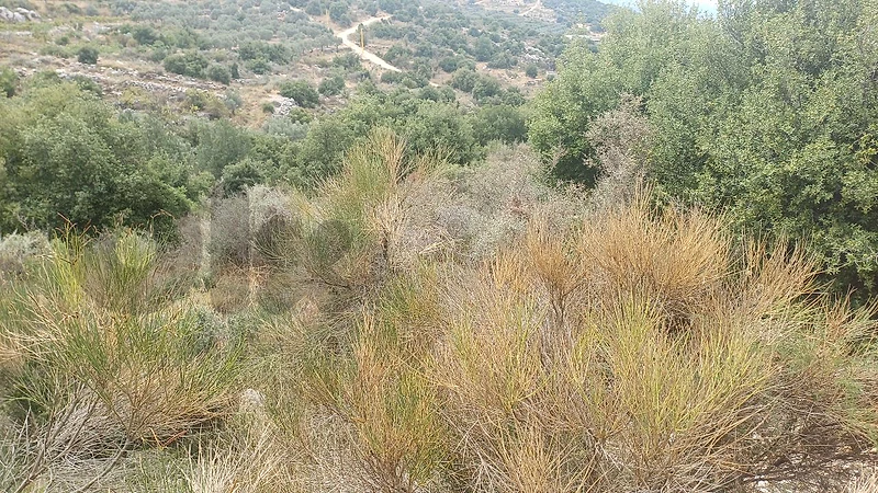 land for sale in Bouchtoudar أرض "لقطة" للبيع في بوشتودار