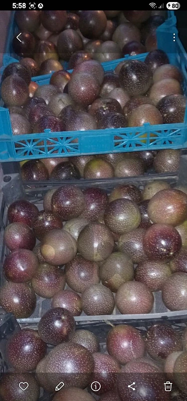 passion fruit