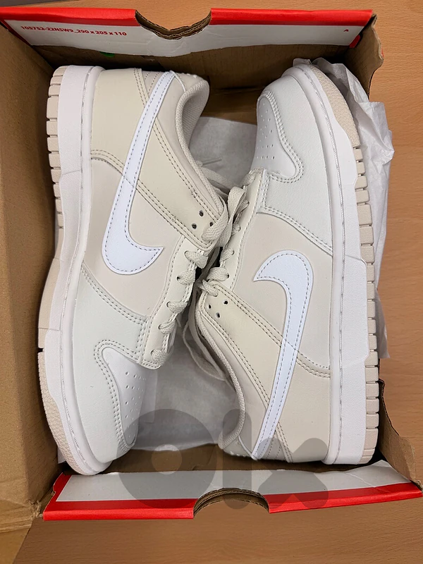 nike dunks
