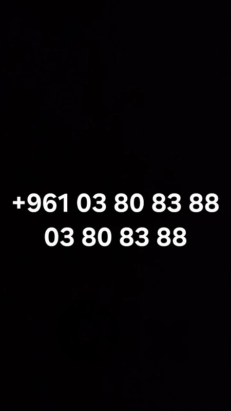 rare lebanese number +961 3808388