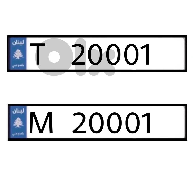 T   20001   &   M   20001