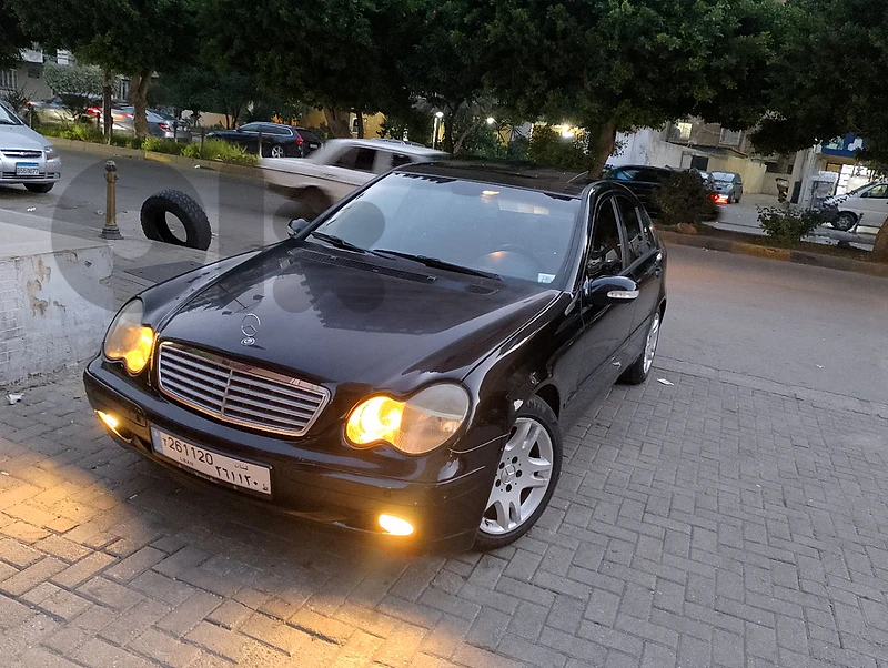 مجدليا