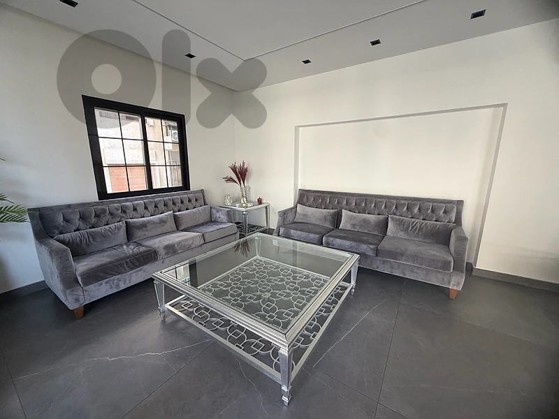 salon grey 2 couches
