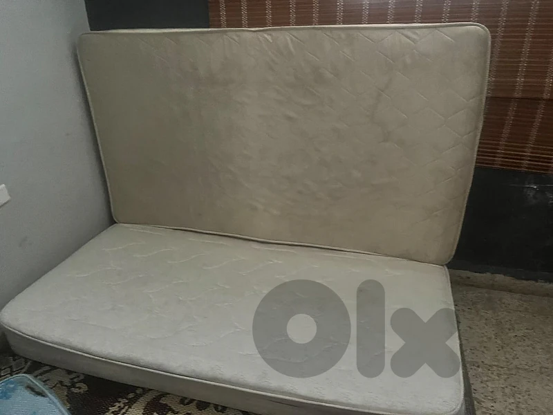فرشتين مفرد ونص