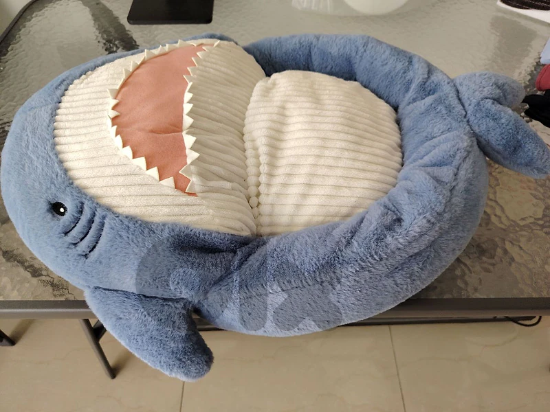 cushion for cat