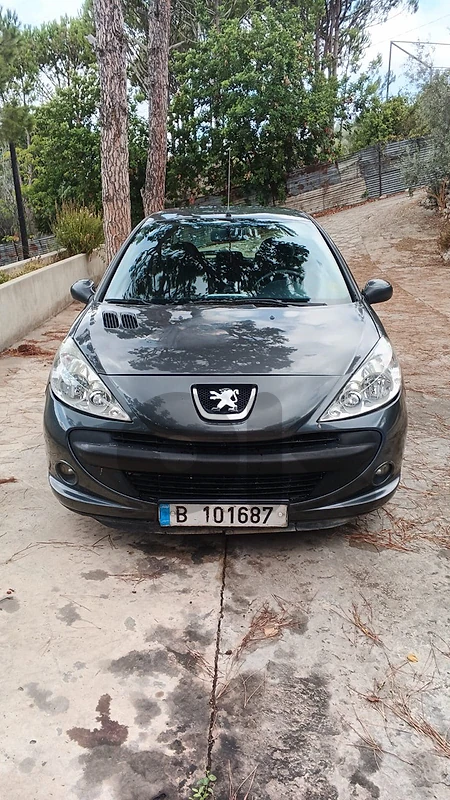 Peugeot 206 2011