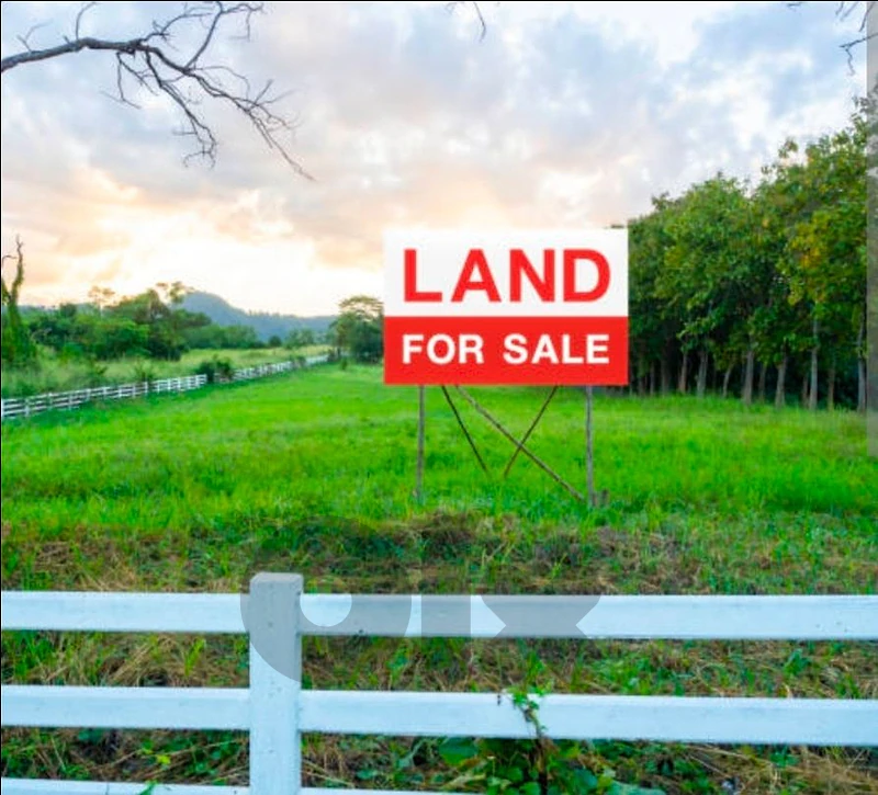 Agricultural Land for Sale in Damour