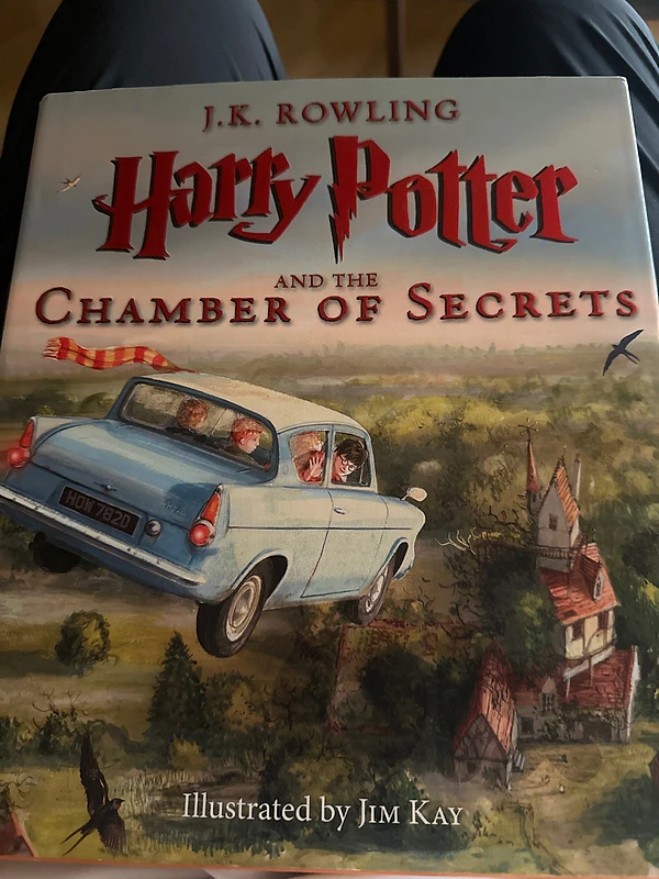 harry potter books