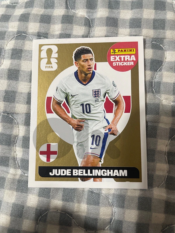 belingham