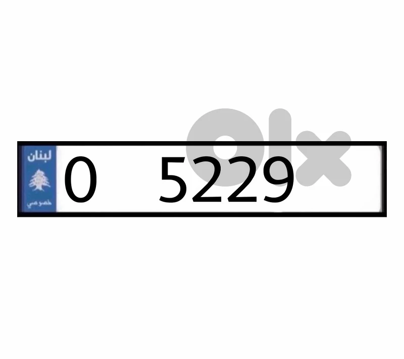 0   5229