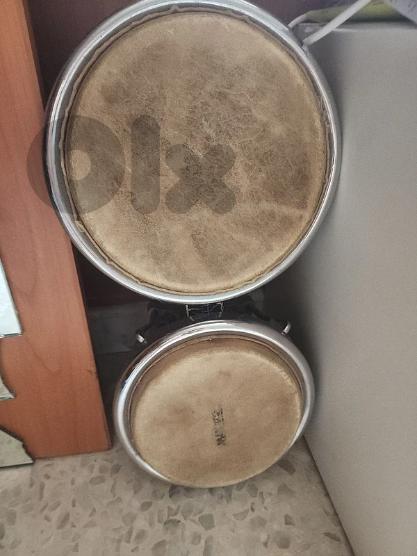 bongos authentic