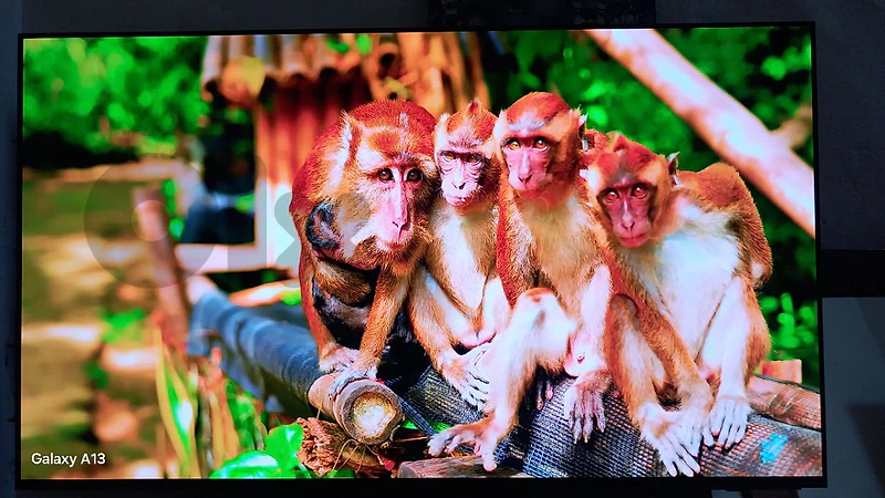 samsung oled 55 inches