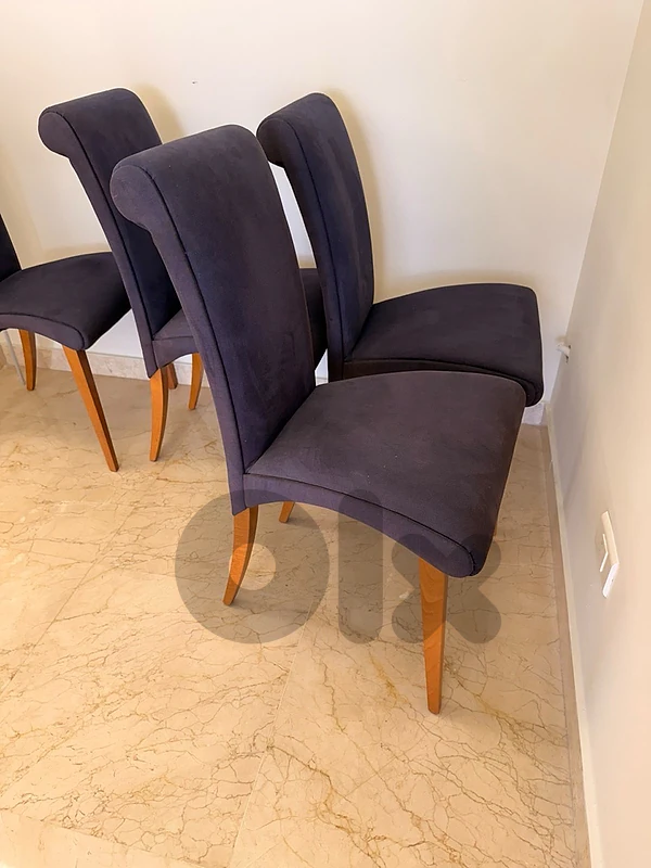 Cattelan italia chairs