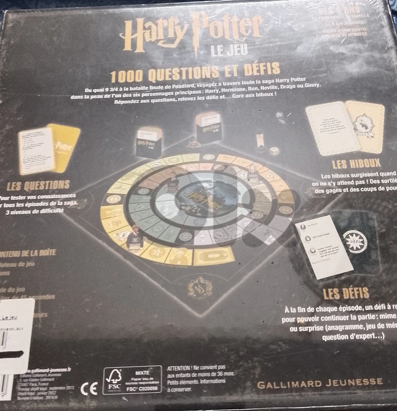 Harry Potter Game