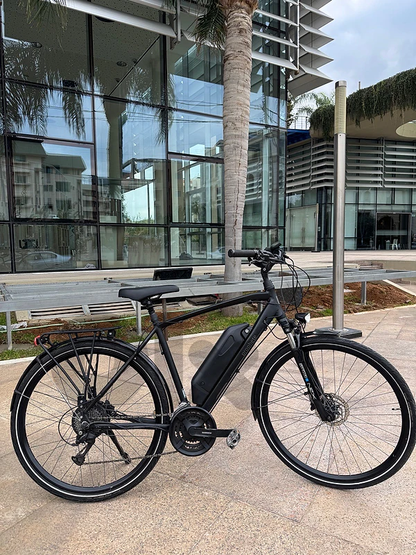 Electic bike