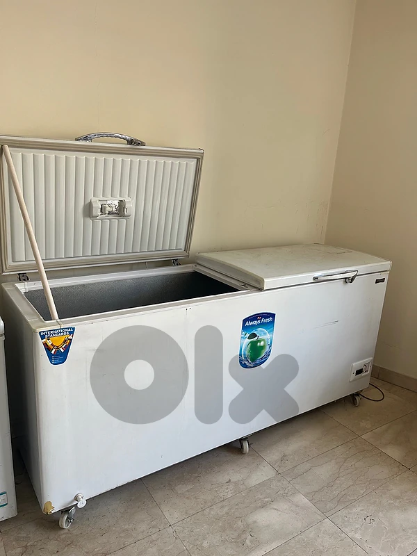 Chest Freezer