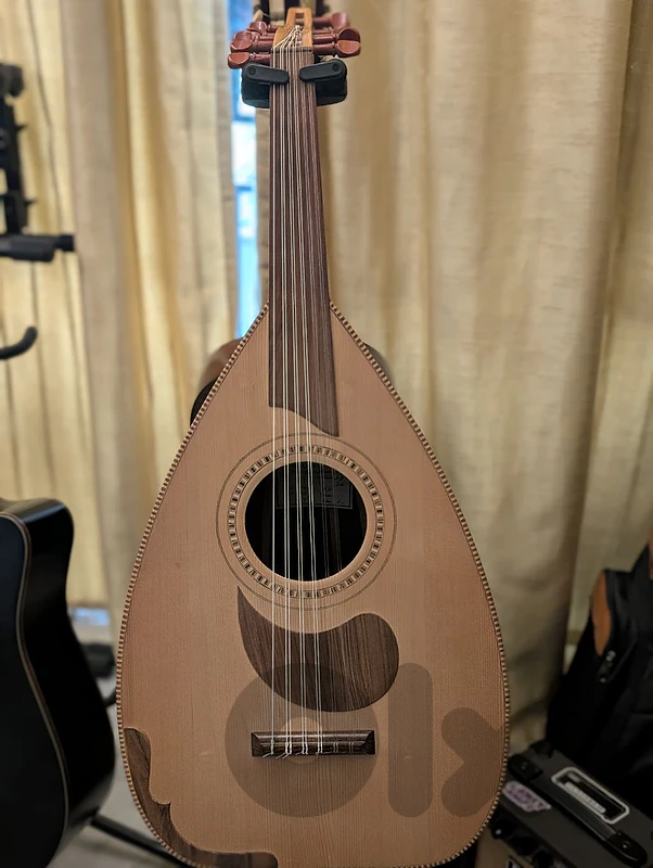 Professional Oud Georges Bitar